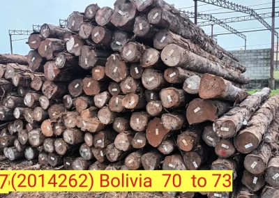 Teak Wood Exporters in Chennai