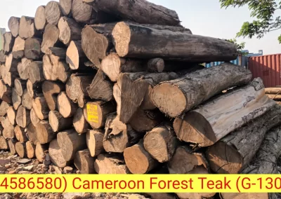 Teak Wood Cot Suppliers in Chennai