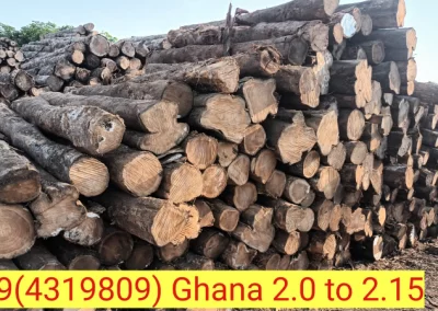 Teak Wood Cot Manufacturers in Chennai